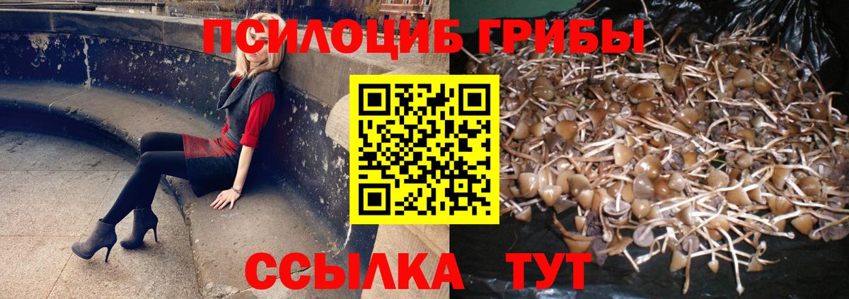 продажа наркотиков  Псилоцибиновые грибы Psilocybe  Вход с VPN  Донецк 